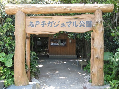 志戸子ガジュマル園