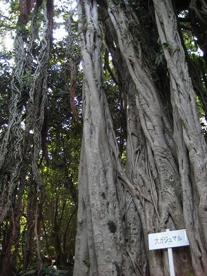 世界遺産