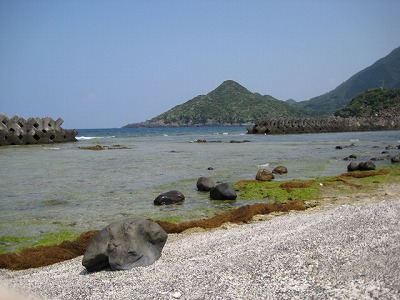 屋久島の自然