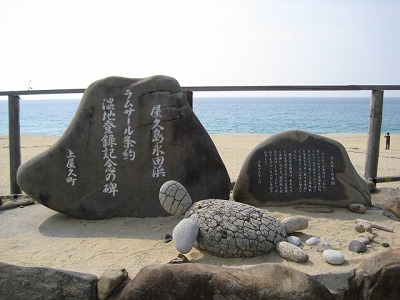 屋久島の写真