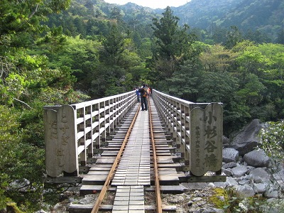 屋久島旅行