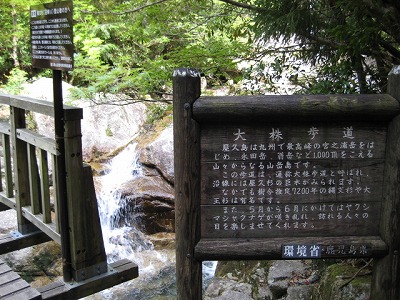 大株歩道入口