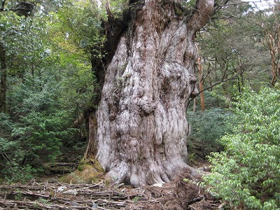 屋久島登山