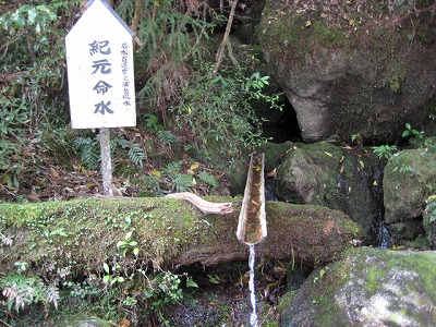 屋久島の紀元杉