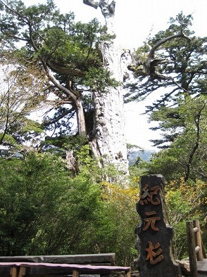 屋久島トレッキング