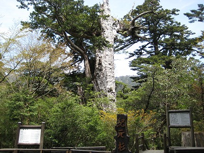 屋久島トレッキング