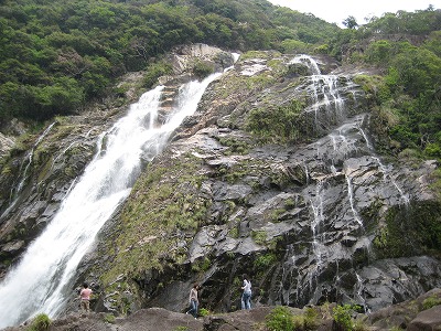 屋久島の滝