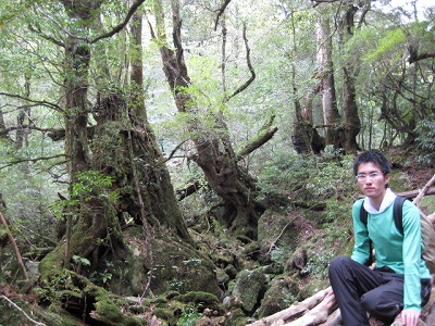 屋久島旅行