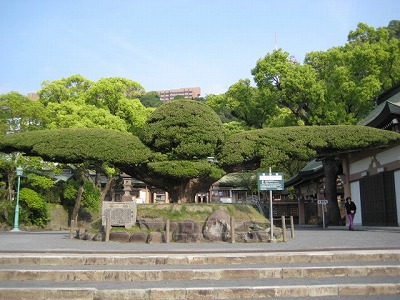 鹿児島観光
