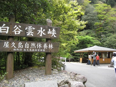 白谷雲水峡