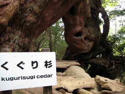世界遺産