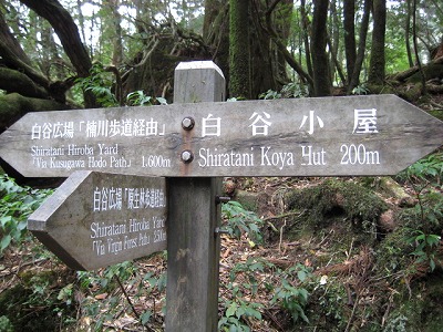 世界遺産