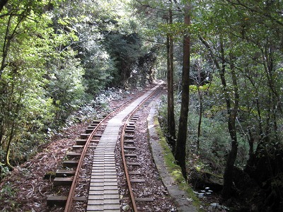 屋久島旅行