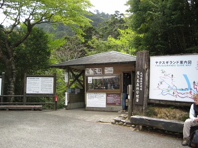 ヤクスギランド